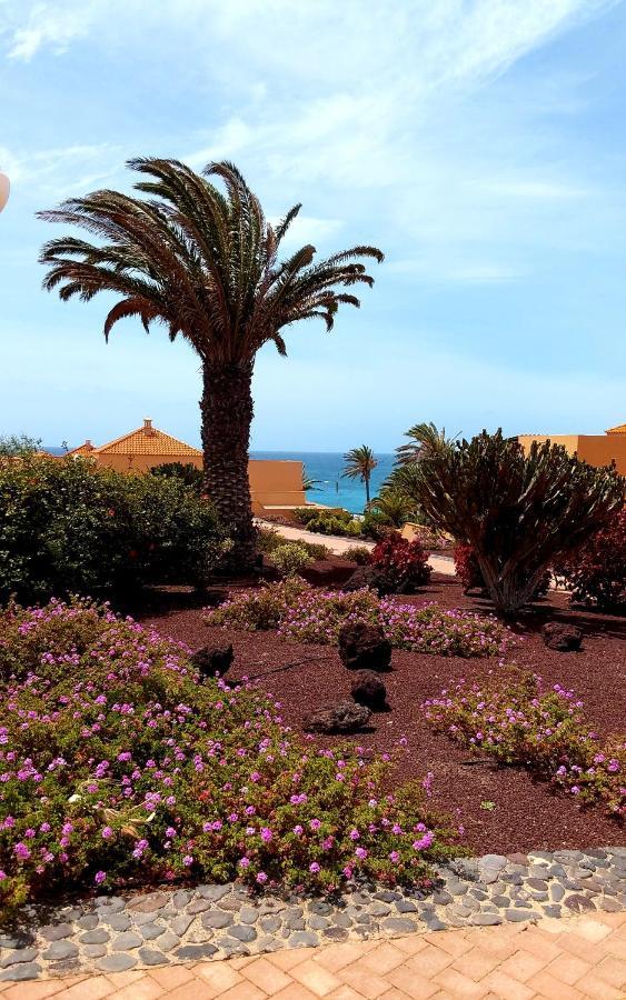 Ferienwohnung Grani Mar Costa Calma Exterior foto